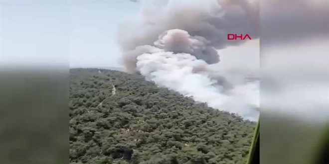 Foça'daki orman yangını soruşturmasında 1 tutuklama
