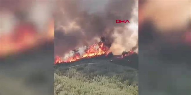Adana'da orman yangını
