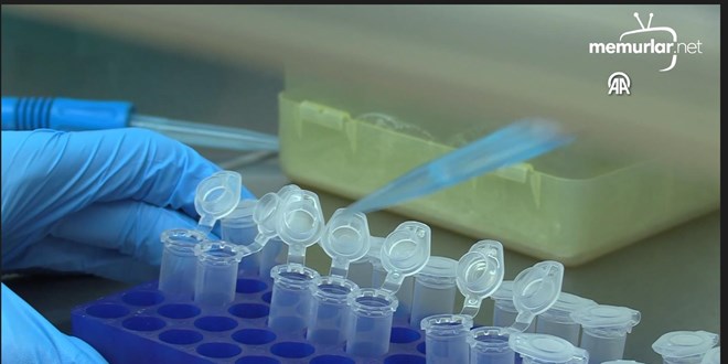 KKKA aşısının klinik öncesi çalışmalarının eylüle kadar bitirilmesi planlanıyor