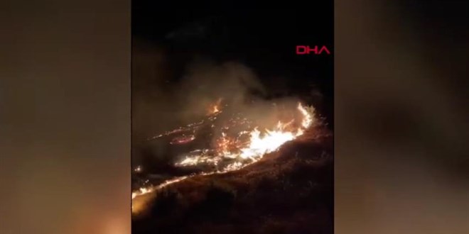 Çanakkale'de orman yangını