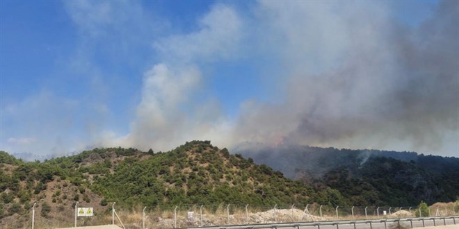 Tokat'ta orman yangını