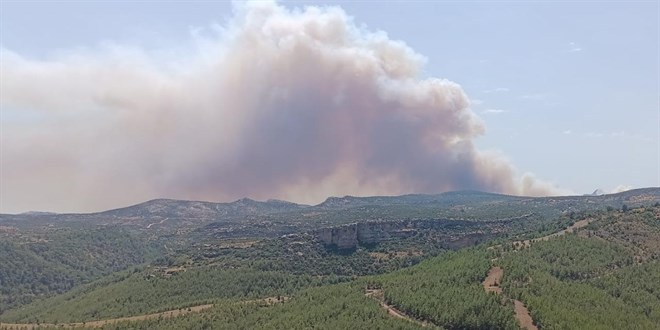 Mersin'deki orman yangınlarına ilişkin Validen açıklama