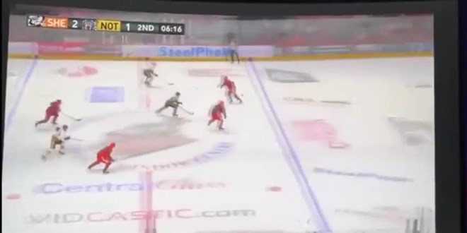 Buz hokeyi oyuncusu, ma� s�ras�nda boynuna ald��� darbe sonucu hayat�n� kaybetti