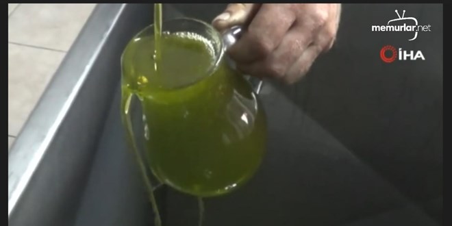 Zeytinya��nda fiyat 600 liraya ��kabilir!