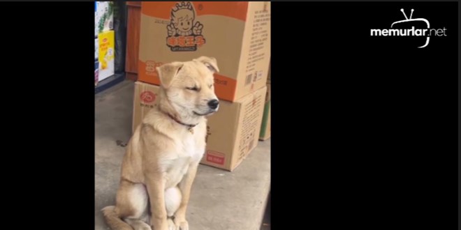 Pazartesi sabah� mesaide ben