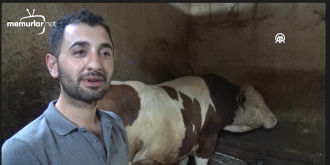 Kars'ta 1 tonluk bo�a 'Alaca f�rt�na' al�c�s�n� bekliyor