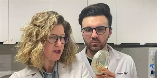 T�rk bilim insanlar� u�ak yak�t�nda yeni bir bakteri cinsi ke�fetti