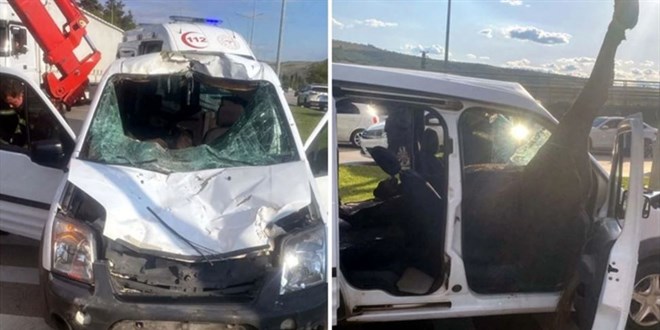 Yola f�rlayan at polis arac�n�n i�ine girdi