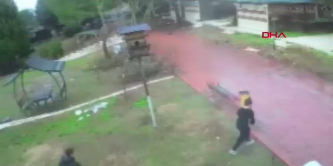 �ocuklar parktaki ku� yuvas�n� par�alad�