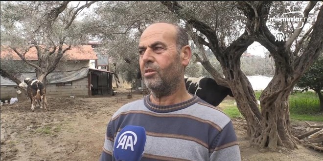 Hatay'da depremde hayvanlar�n� kaybeden besiciler, devlet deste�iyle yeniden aya�a kalkt�