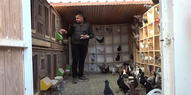 Memurlu�u b�rak�p g�vercin yeti�tiricisi oldu