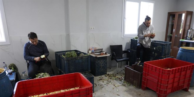 Asgari �cretin 4 kat� kazand�r�yor: Hasat ba�lad�, �stanbul'dan gelen var