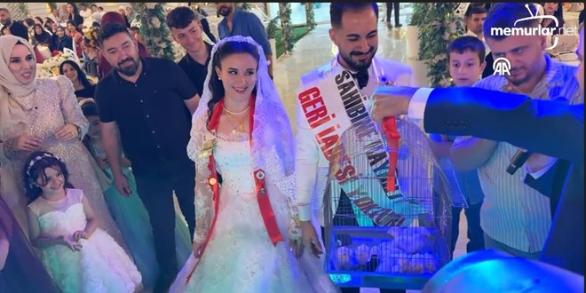 D���nde alt�n yerine 100 civciv takt�