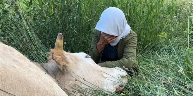 200 metrelik u�urumda y�rek yakan g�zya��