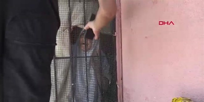 '��p ev' ihbar�na giden ekipler adreste 100 kedi buldu