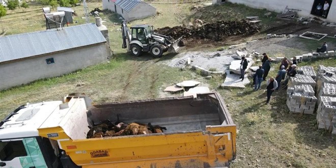 Ay� a��la girdi, 144 hayvan telef oldu