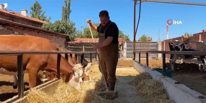 Memurlu�u B�rakt�, Ah�r�n Ba��na Ge�ti!