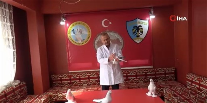 Emekli astsubay, 40 g�vercini i�in ev kiralad�: Ayl�k 10 bin TL harc�yor