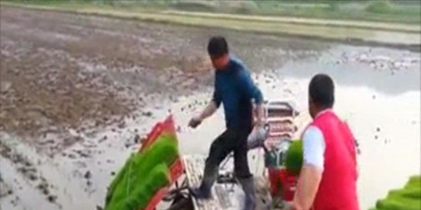 �inlilerin pirin� �retimi bile �ok pratik!