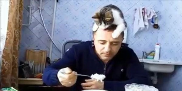 Sahibinin kafas�ndan inmeyen kedi