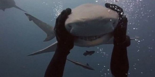 K�pek bal���n� seven dalg��