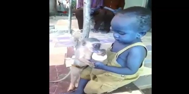 B�yle m�cadele g�r�lmedi