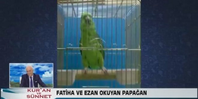 isveç porno izle talia otel masaj