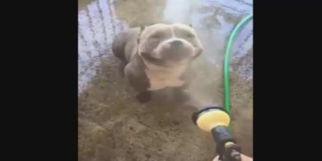 Su tutulunca keyiften d�rt k��e oldu