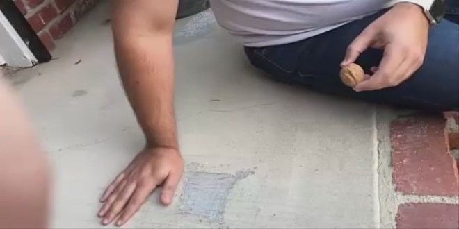 Cevizi ��plak elle b�yle k�rd�