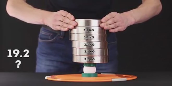 Bir adet yumurta 16 kilodan fazla bask�ya dayanabiliyor!