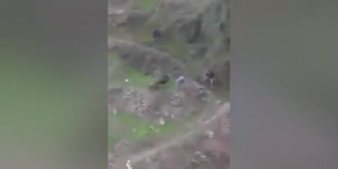 Domuza sald�ran adam�n hazin sonu