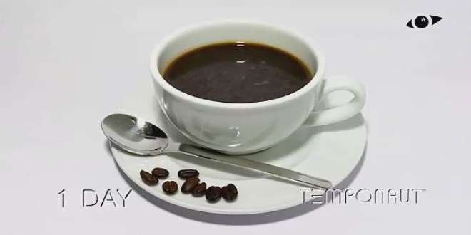 Bir fincan kahve ka� g�nde k�flenir?