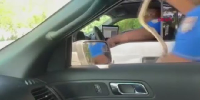 Polisten meslekta��na y�lan �akas�