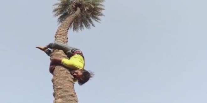 A�aca ba� a�a�� t�rmanan adam