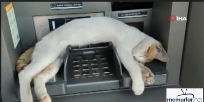 Uyumak i�in ATM'yi se�ti