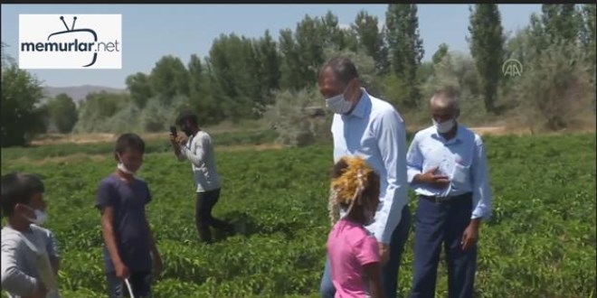 Bakan Sel�uk, tarladaki �ocuklar� 'Arkada�' ile bulu�turdu