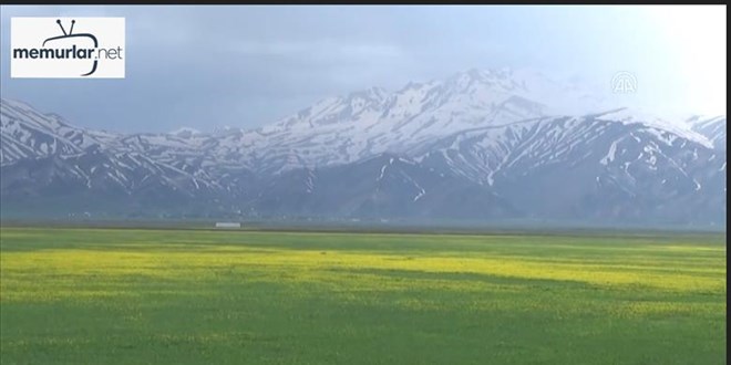 Y�ksekova'da �lkbahar