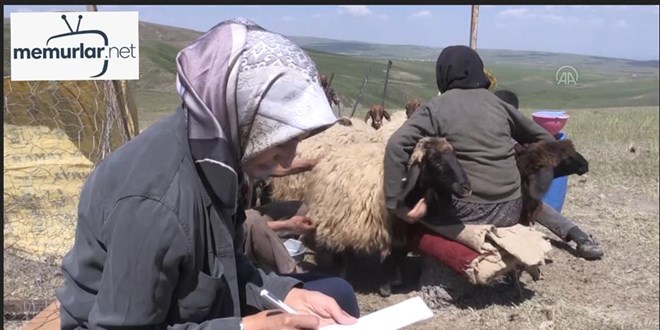 Tezi i�in bir y�l g��erlerle ya�ayan doktora ��rencisi, alan taramas�n� tamamlad�