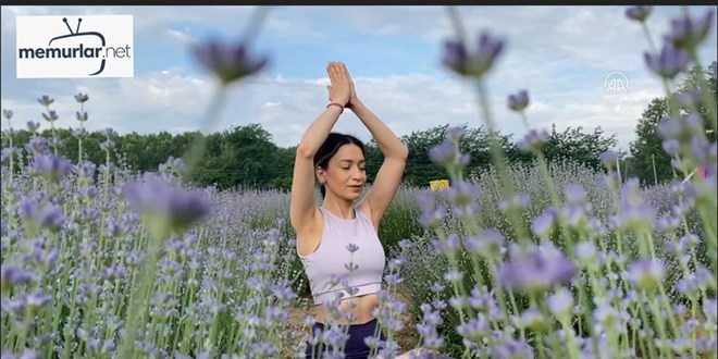 Lavantalar aras�nda yoga yaparak g�ne ba�lad�lar