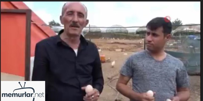 Taze yumurta nas�l anla��l�r testi ?