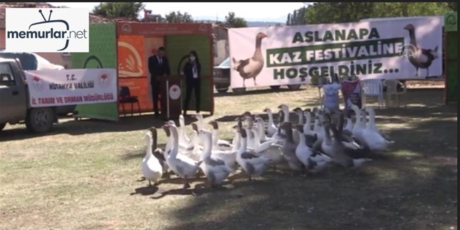 K�tahya'da en g�zel kazlar yar��t�