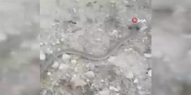 Vatanda��n y�lanla g�l�mseten sohbeti