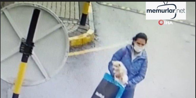 K�pe�i �nce sevdi sonra �ald�... O anlar kamerada