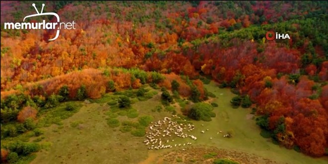 Top�am Da��nda Hazan Mevsimi Kartpostall�k G�r�nt�ler Olu�turdu