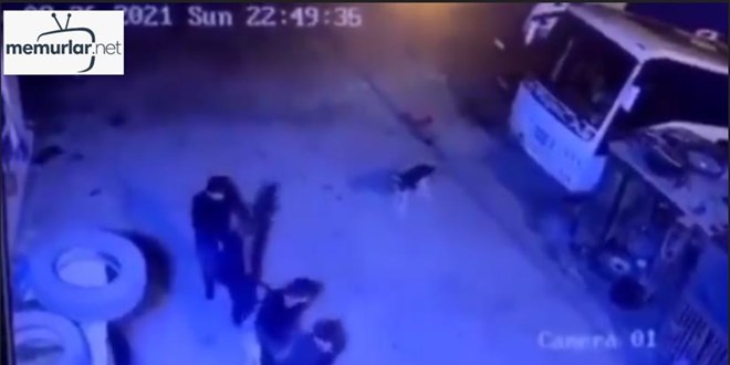 K�pekten halay �ekerek ka�t�lar, ard�ndan k�pe�i de halaya dahil ettiler