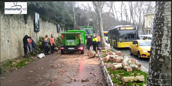 Be�ikta�'ta a�aca �arpan �ETT otob�s�n�n �of�r� yaraland�