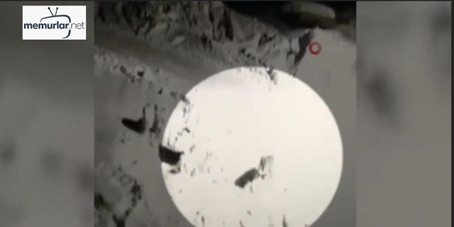 Kurtla k�peklerin kavgas�n� ma� anlat�r gibi anlatt�