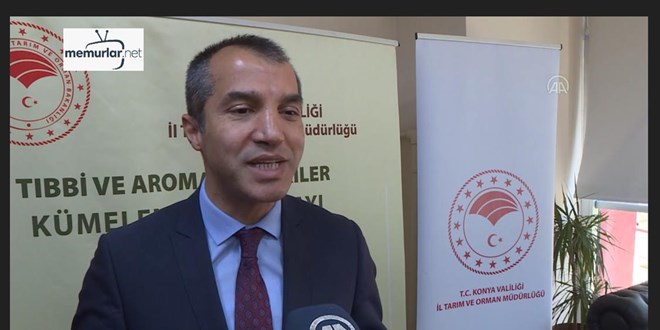 T�rkiye'de t�bbi, aromatik bitki �retimi ve ihracat� art�yor