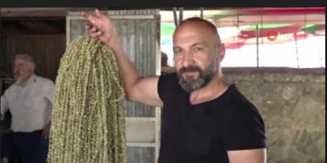 Co�rafi i�aretli d���n tak�s�