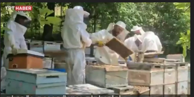 Bing�l bal�na �ngiltere'de alt�n madalya